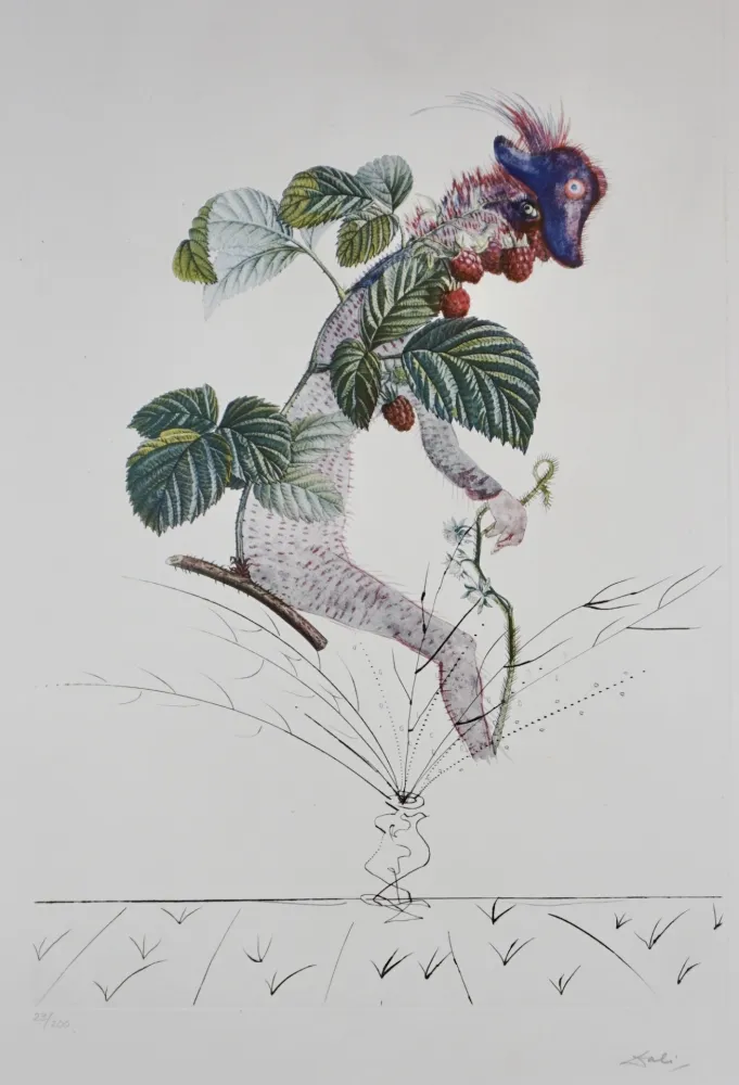 Gravure Dali - FlorDali/Les Fruits Raspberry
