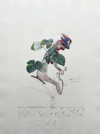 Lithographie Dali - Framboisier (Raspberry Bush)