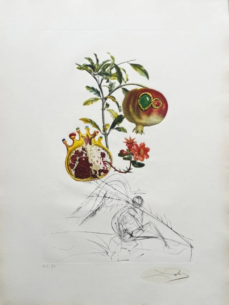 Lithographie Dali - Grenade et l’ange (Pomegranate and Angel)