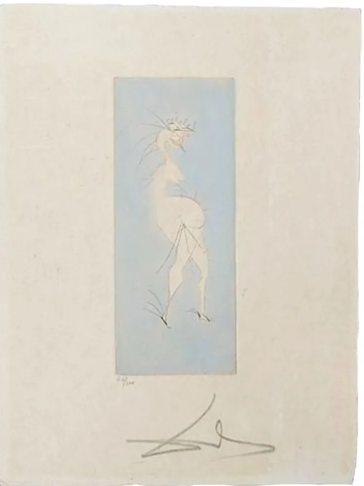 Pointe-Sèche Dali - Grotesque