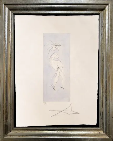 Aucune Technique Dali - Grotesque