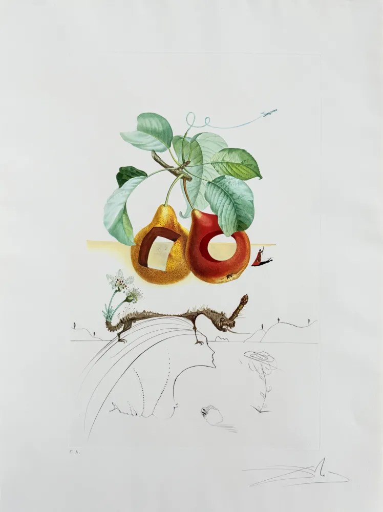 Lithographie Dali - Holed Fruit from Flordali suite