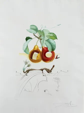 Lithographie Dali - Holed Fruit from Flordali suite