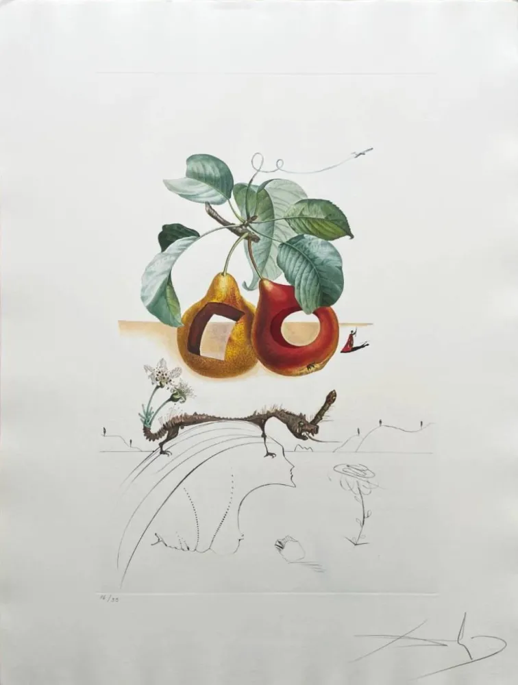 Lithographie Dali - Holed Fruit from Flordali suite