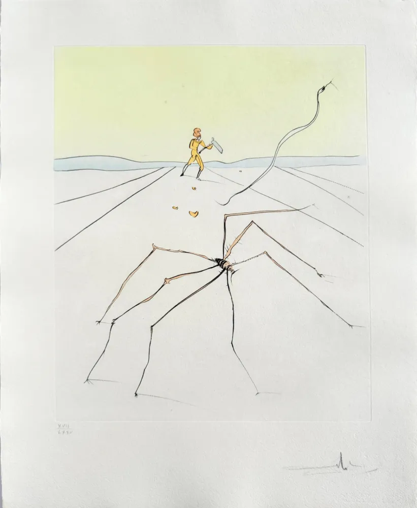 Pointe-Sèche Dali - Kumo (The weaver spider)