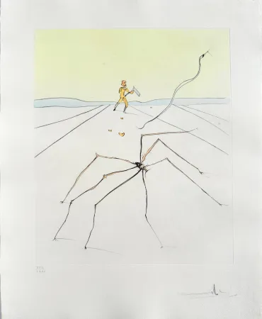 Pointe-Sèche Dali - Kumo (The weaver spider)