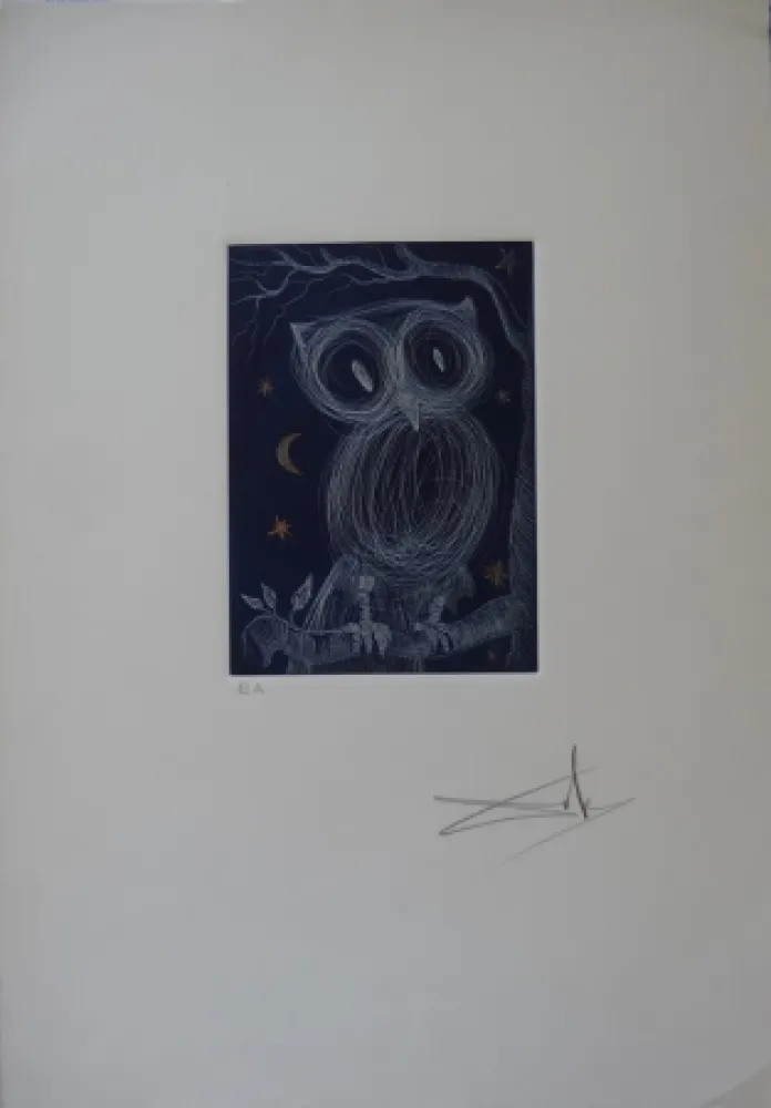 Eau-Forte Dali - La petite chouette