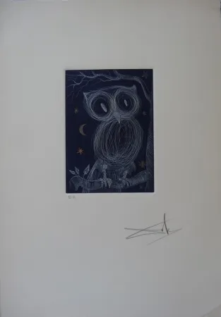 Eau-Forte Dali - La petite chouette