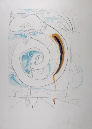 Lithographie Dali - Le cercle viscéral du cosmos