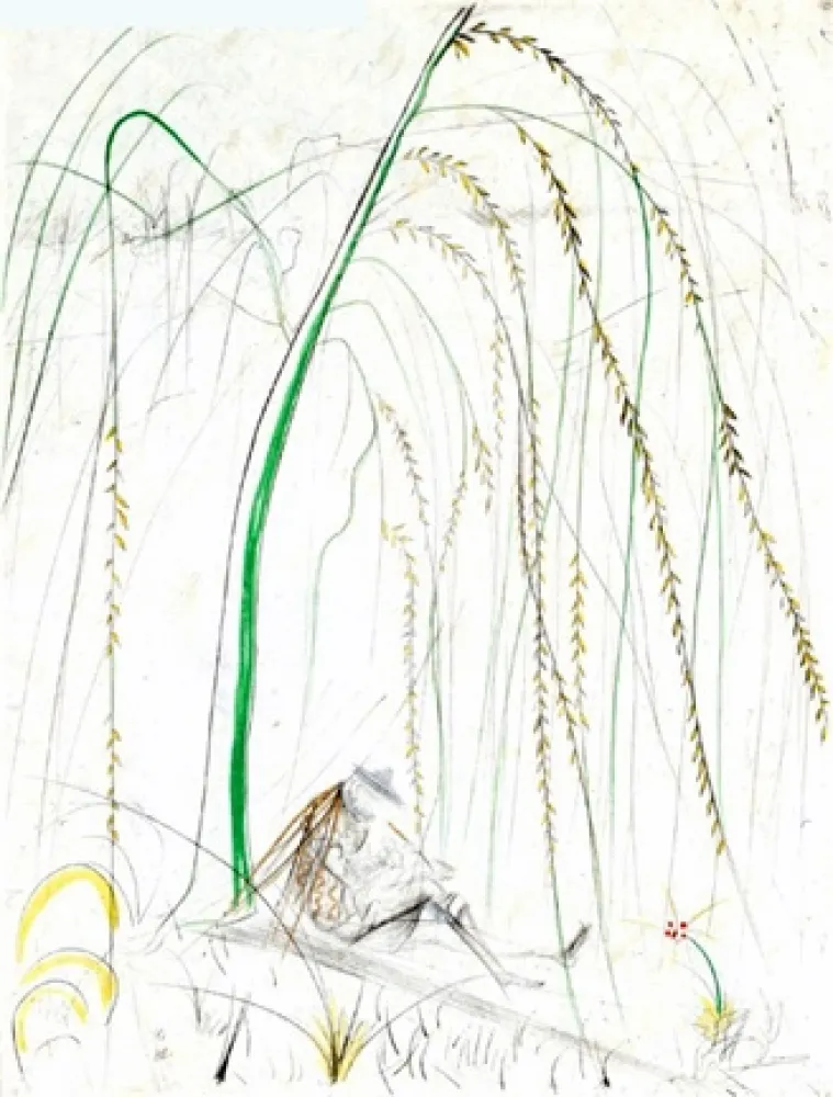 Gravure Dali - Le Saule Pleurer (Weeping Willow)