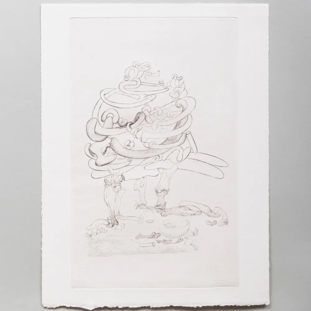 Pointe-Sèche Dali - Les Chants de Maldoror: Bone Chair