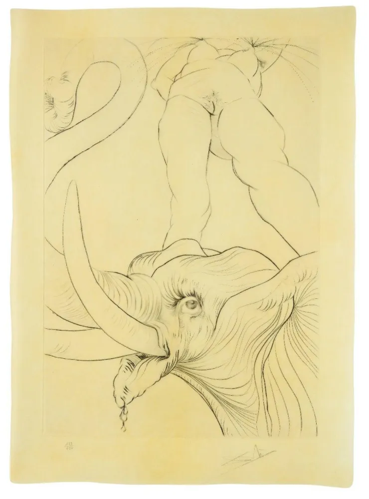Pointe-Sèche Dali - 