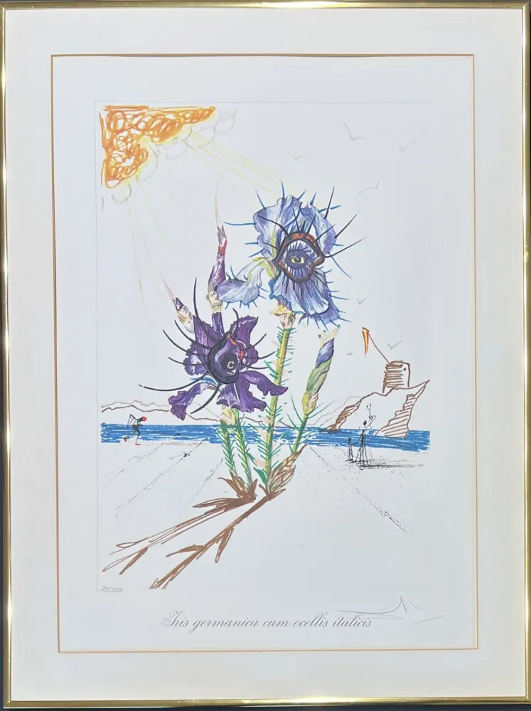 Pointe-Sèche Dali - Salvador Dalí (1904–1989) - Coloured drypoint etching on heliogravures - 1972
