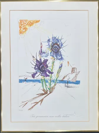 Pointe-Sèche Dali - Salvador Dalí (1904–1989) - Coloured drypoint etching on heliogravures - 1972
