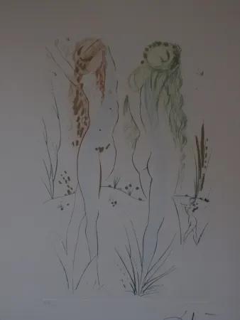 Eau-Forte Et Aquatinte Dali - Sans titre