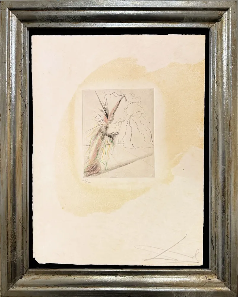 Pointe-Sèche Dali - The Illusionist