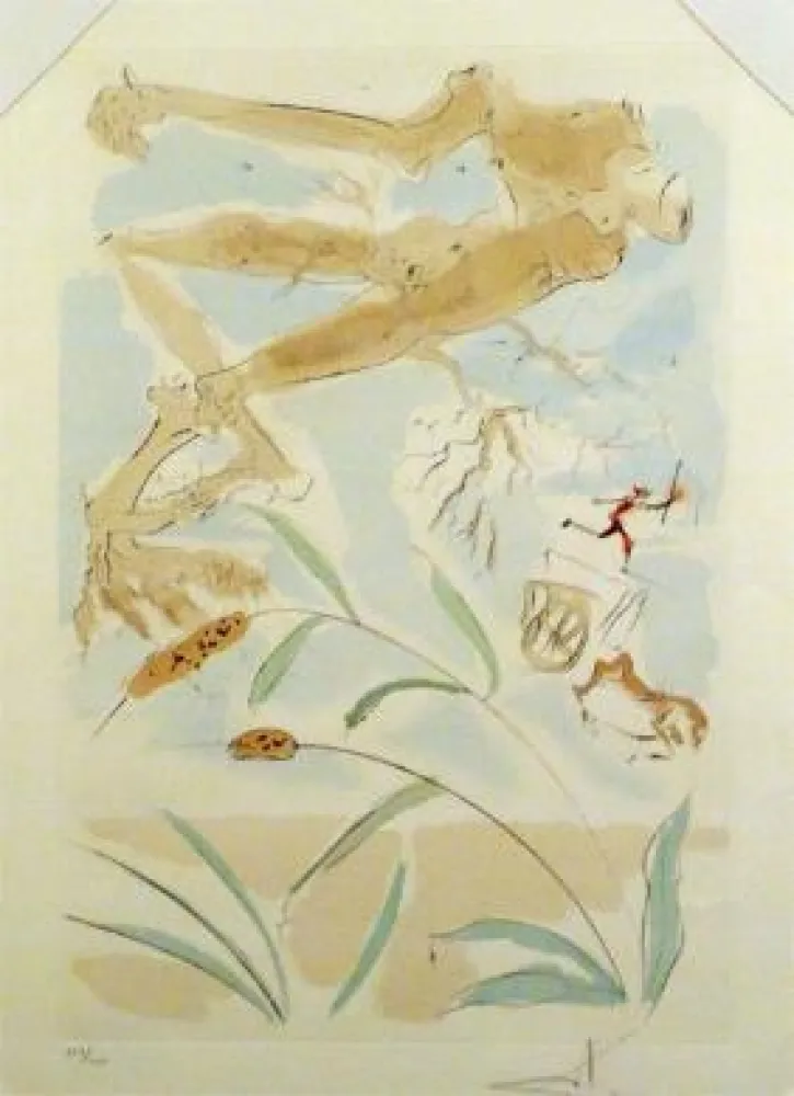 Aucune Technique Dali - The Oak and the Reed - from the suite 