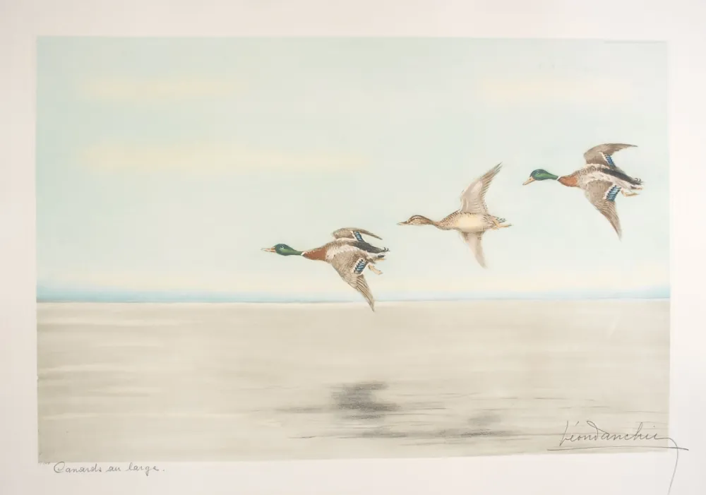 Eau-Forte Danchin - 12 Canards au large - Three Ducks flying (Original)