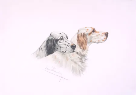 Lithographie Danchin - Deux têtes de Setters - Two Setters heads (Original)