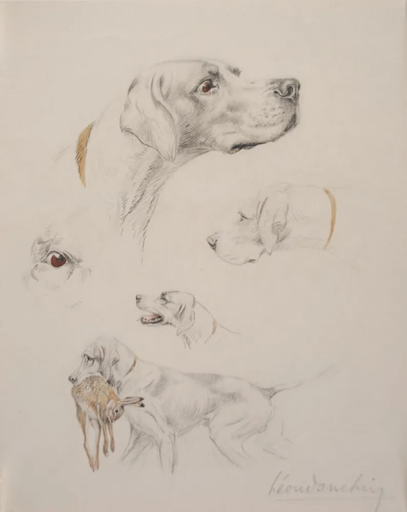 Aucune Technique Danchin - Etude de pointer