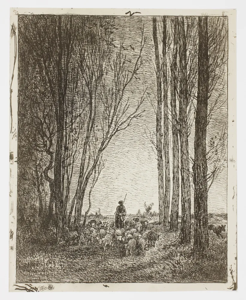 Aucune Technique Daubigny - La Rentrée du Troupeau (Return of the Flock)