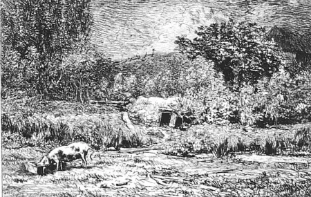Eau-Forte Daubigny - Le cochon dans un verger