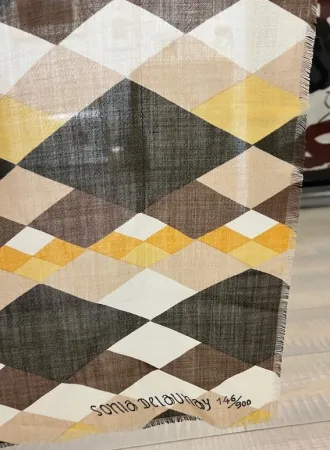 Aucune Technique Delaunay - Sin titulo