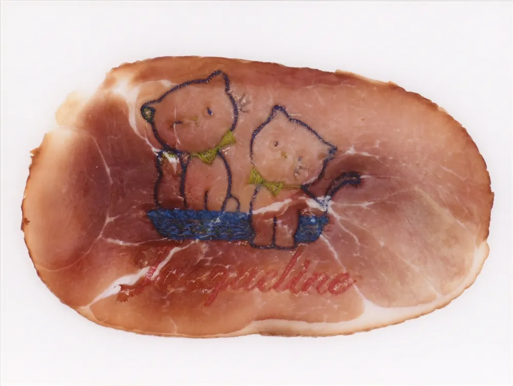 Photographie Delvoye - Untitled 02 (Photograph of Embroidered Ham) (