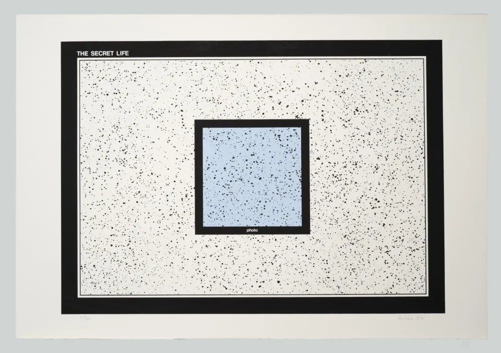 Sérigraphie Dias - The secret life