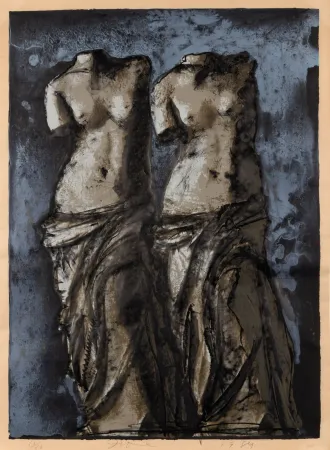 Multiple Dine - Double Venus in sky at night