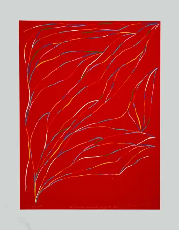 Sérigraphie Dorazio - Composizione