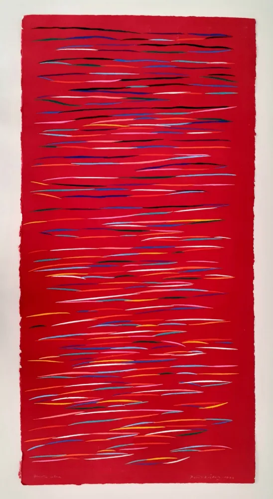 Linogravure Dorazio - Senza titolo