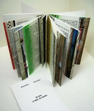 Livre Illustré Dorny - Des mots, et meme, des mouches 