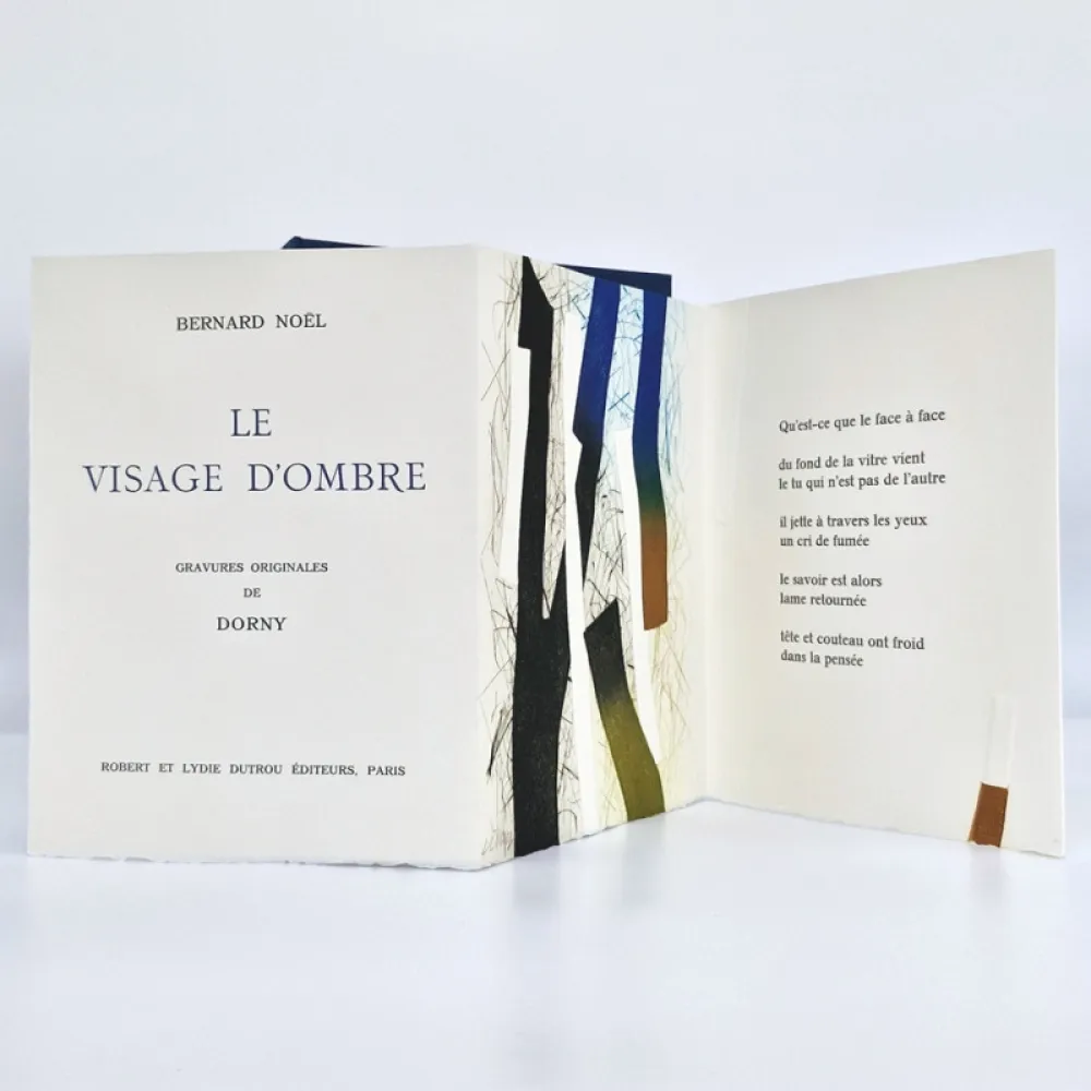 Livre Illustré Dorny - Le visage d'ombre