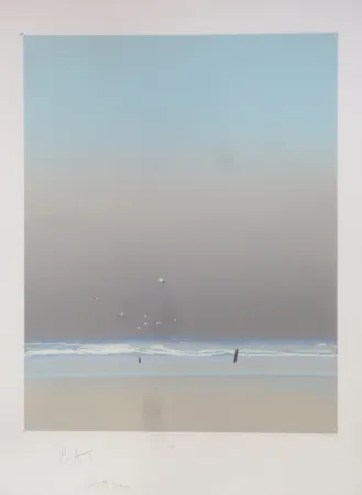 Lithographie Doutreleau - Les mouettes