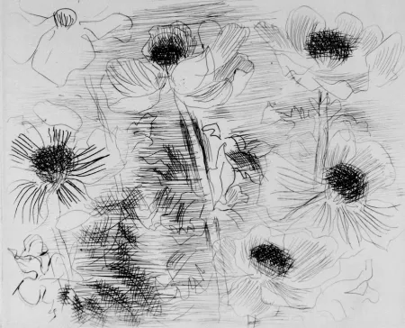 Eau-Forte Dufy - Anemones