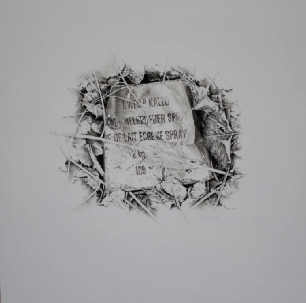 Aucune Technique Ebert - Komposition mit Efeu