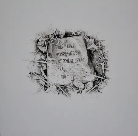 Aucune Technique Ebert - Komposition mit Efeu