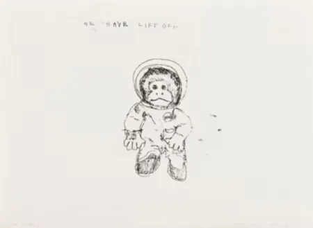 Multiple Emin - Space Monkey