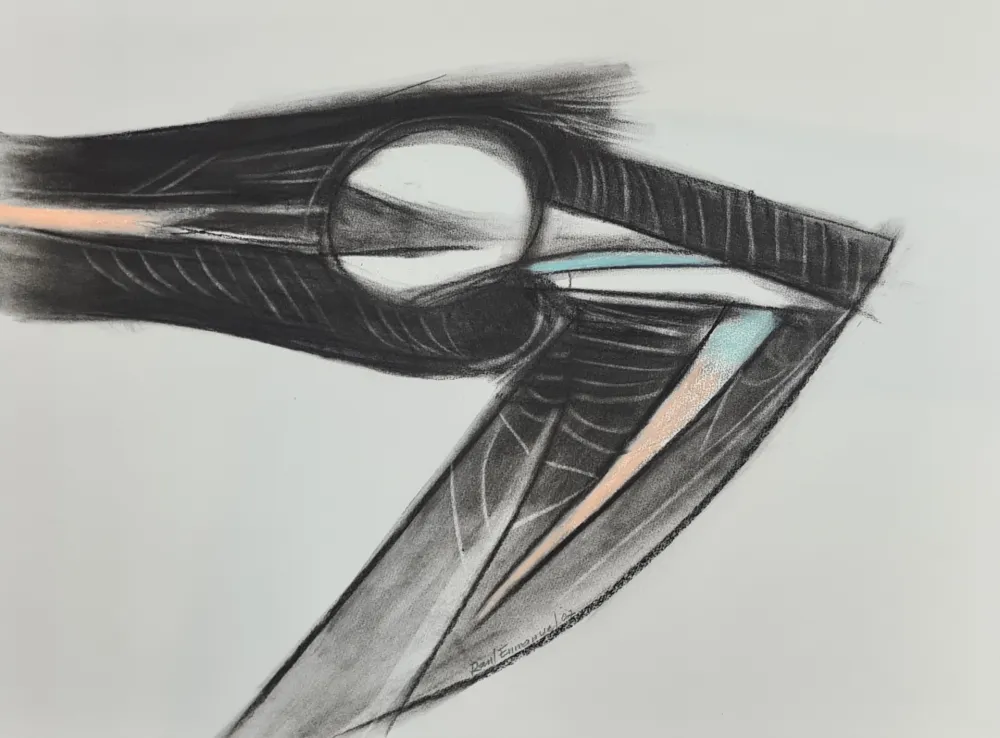 Monotype Enmanuel - Pajaro en negro y azul