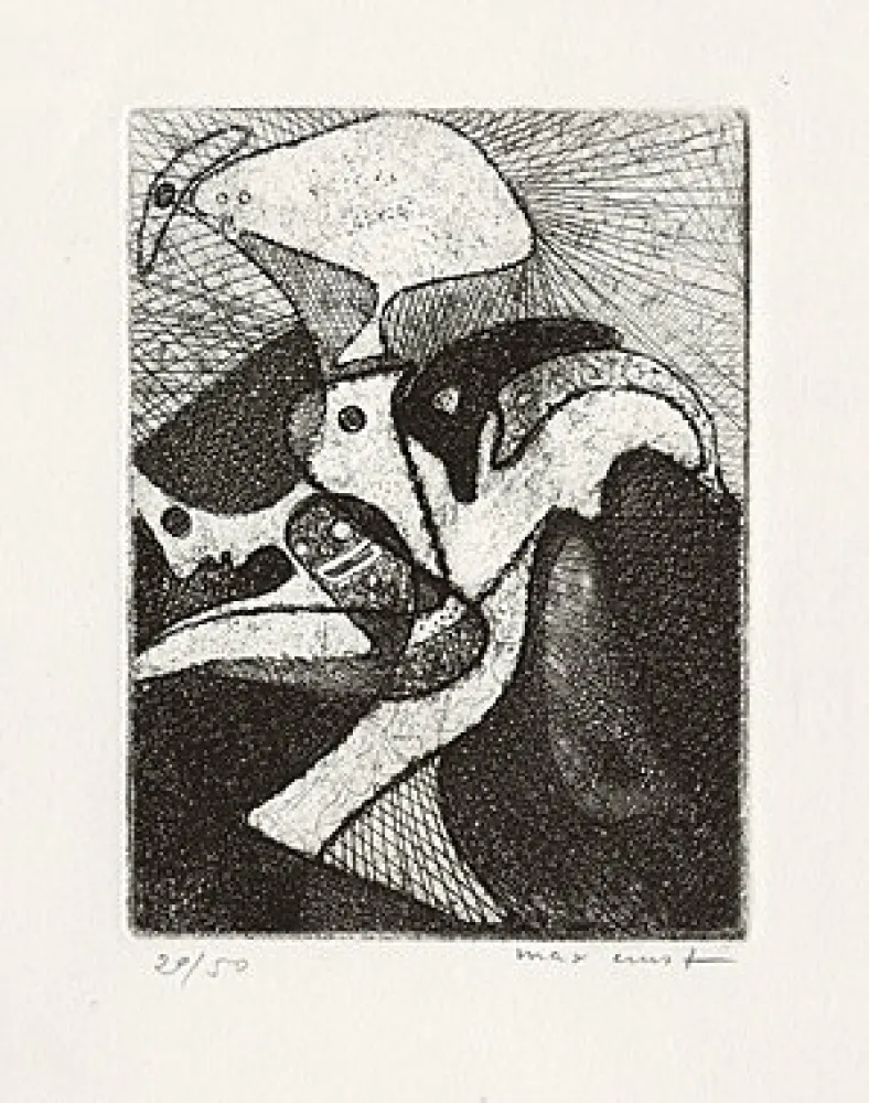 Livre Illustré Ernst - 