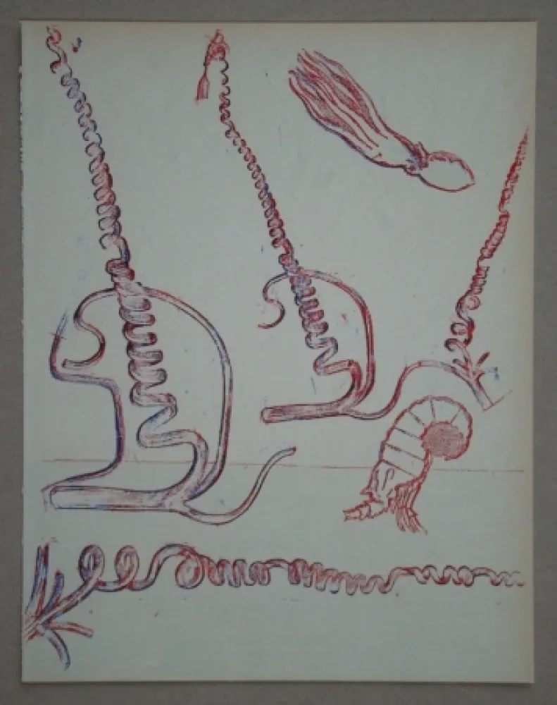 Lithographie Ernst - Lithograph pour XXe Siècle