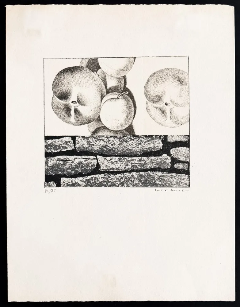 Lithographie Ernst - Max Ernst (1891–1976) - Fruits défendus - Photolithography on paper - 1968