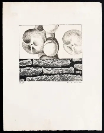 Lithographie Ernst - Max Ernst (1891–1976) - Fruits défendus - Photolithography on paper - 1968