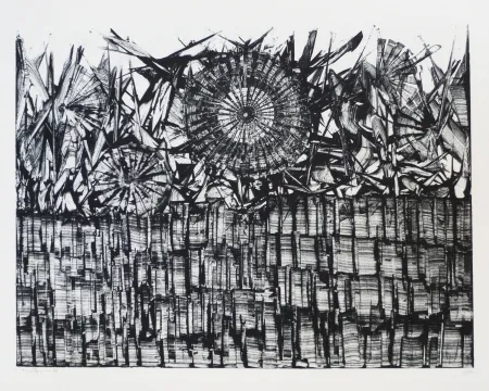 Lithographie Ernst - Terra Incognita 4