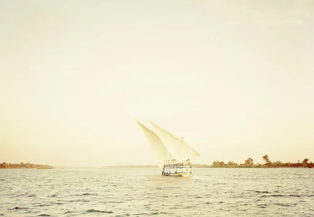 Estampe Numérique Esser - Nil II