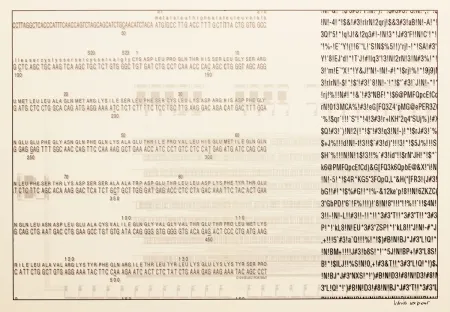 Sérigraphie Export - Selbstporträt (Self Portrait)