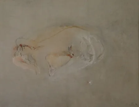 Aucune Technique Falk - (Akt)