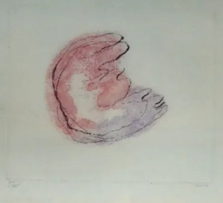 Eau-Forte Et Aquatinte Fautrier - Baby Mine