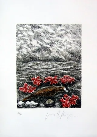 Livre Illustré Fazzini - Gabbiani